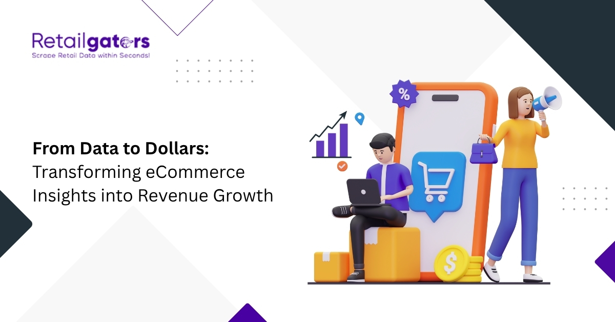 rom Data to Dollars: Transforming eCommerce Insights into Revenue Growth